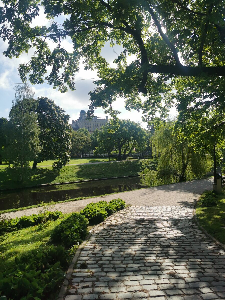 Изображение мое. Да, всякая фигня происходит на фоне цветущей весны, но весна все равно прекрасна 