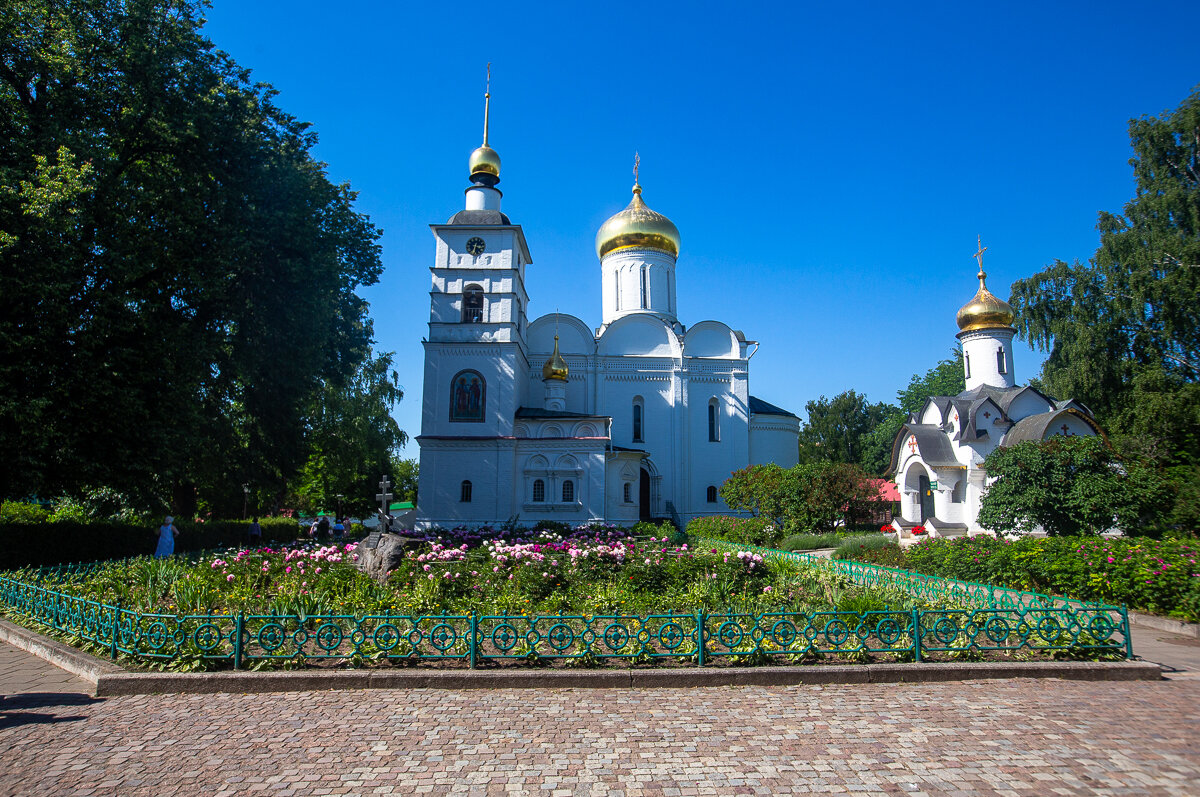 Отдых подмосковье - фото