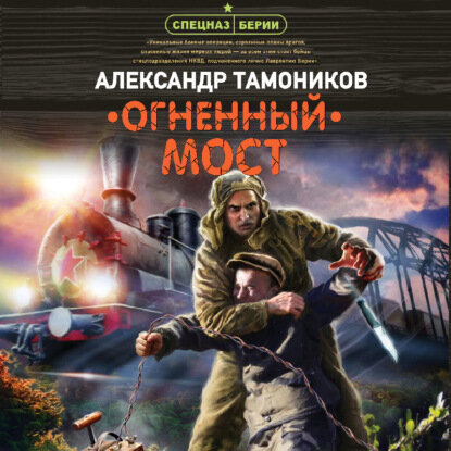 Александр Тамоников — Огненный мост (Аудиокнига)