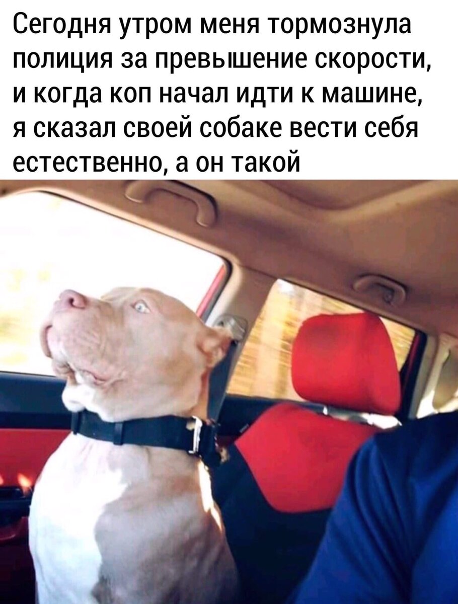 Смейся до слез картинки