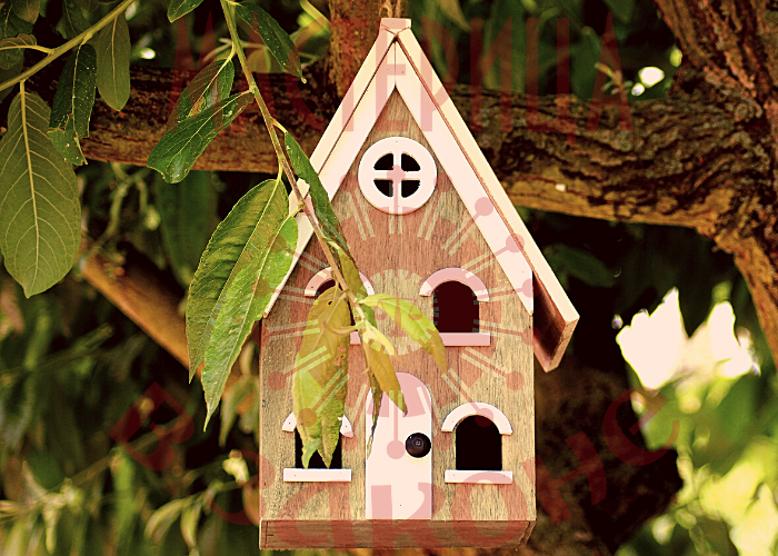 Правовая среда