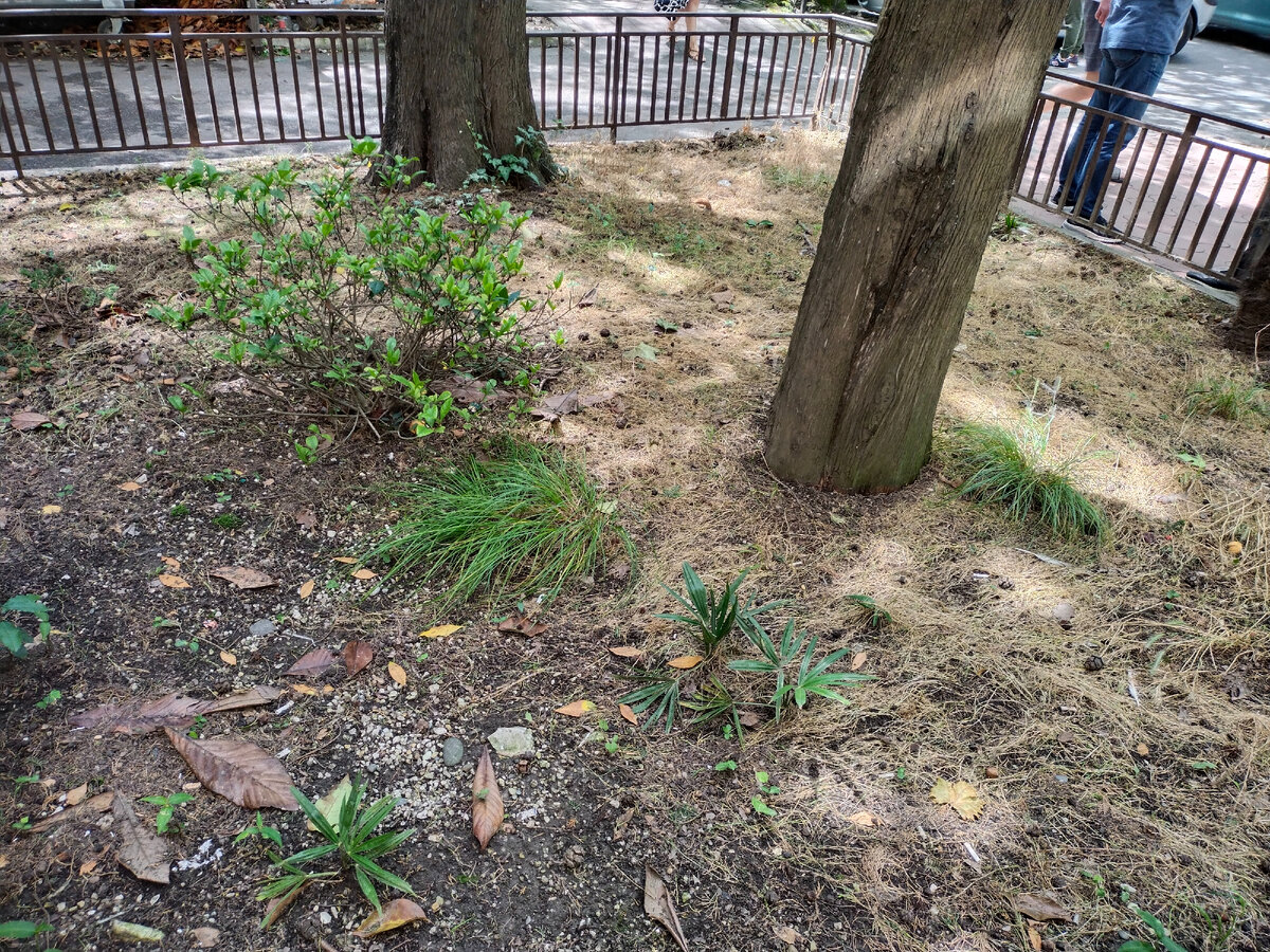 Фото автора канала