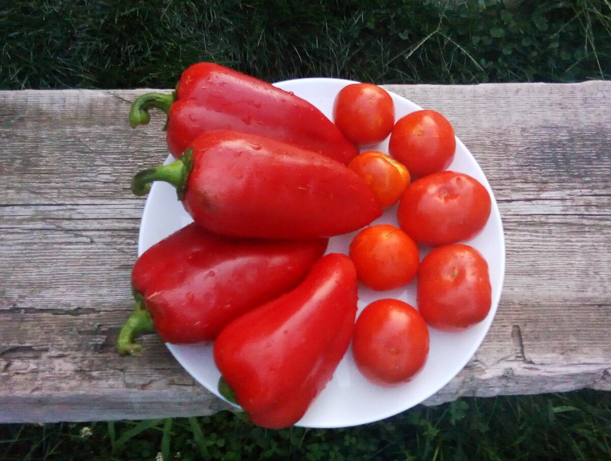 Все, что нужно для лечо