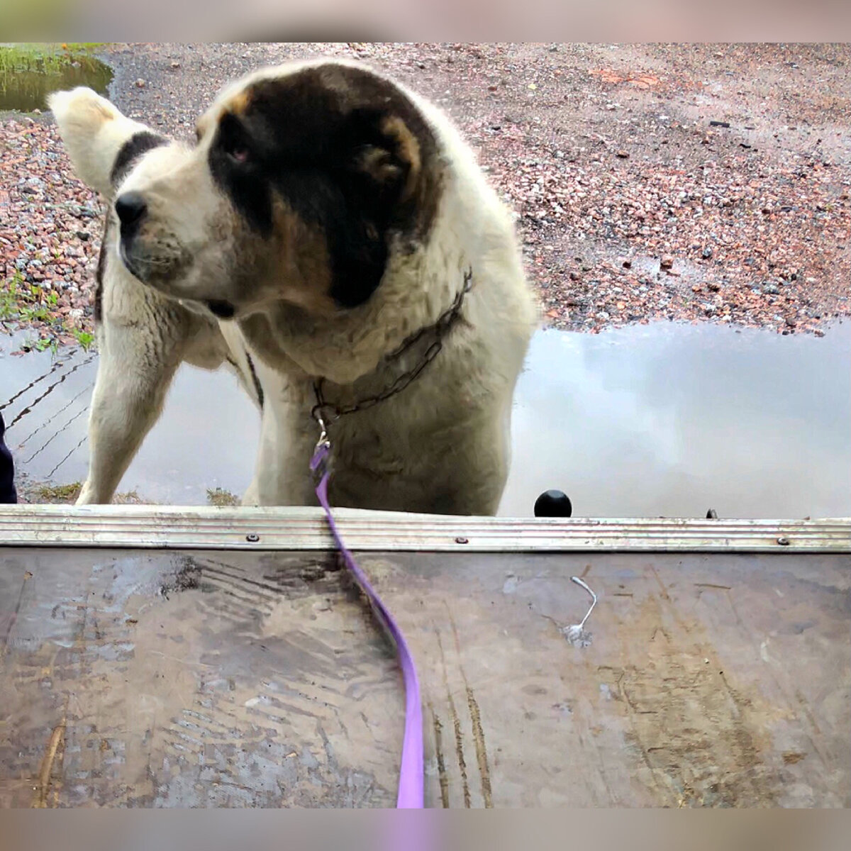 Что Вам от меня надо?