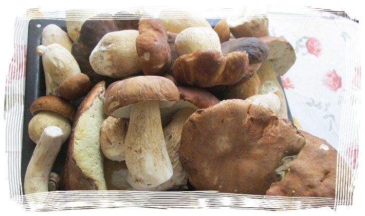 Сушеные белые грибы в банке. Сушеные грибы в банке. Свежие и сушеные грибы. Сколько хранить белые грибы. Грибы сухие белые этикетка.