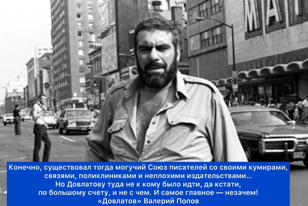 Фото Яндекс картинки