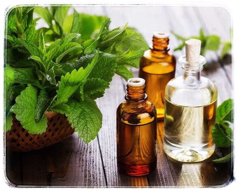 Фото из открытых источников. 