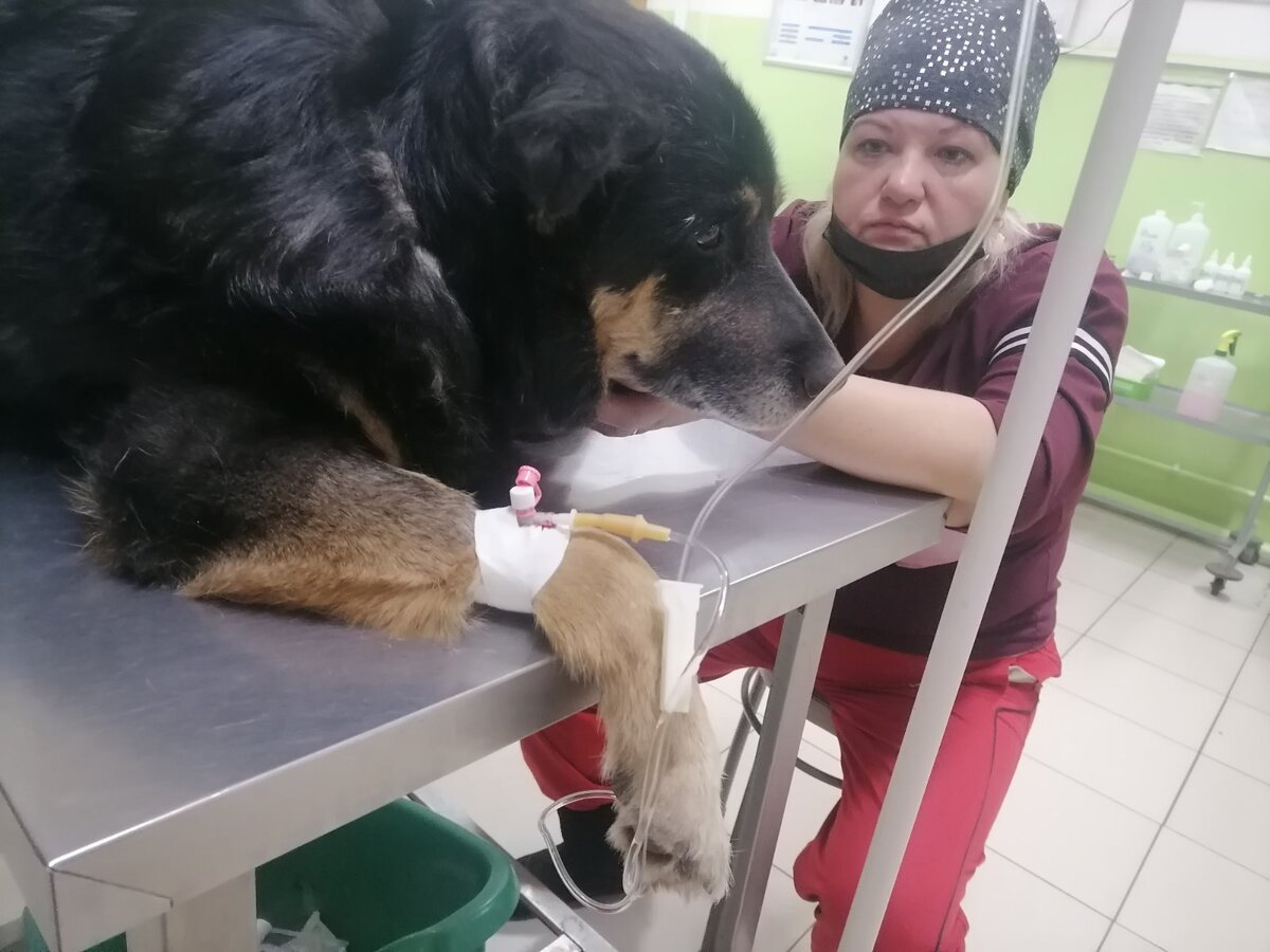 Когда выслушала диагноз и осознала перспективы