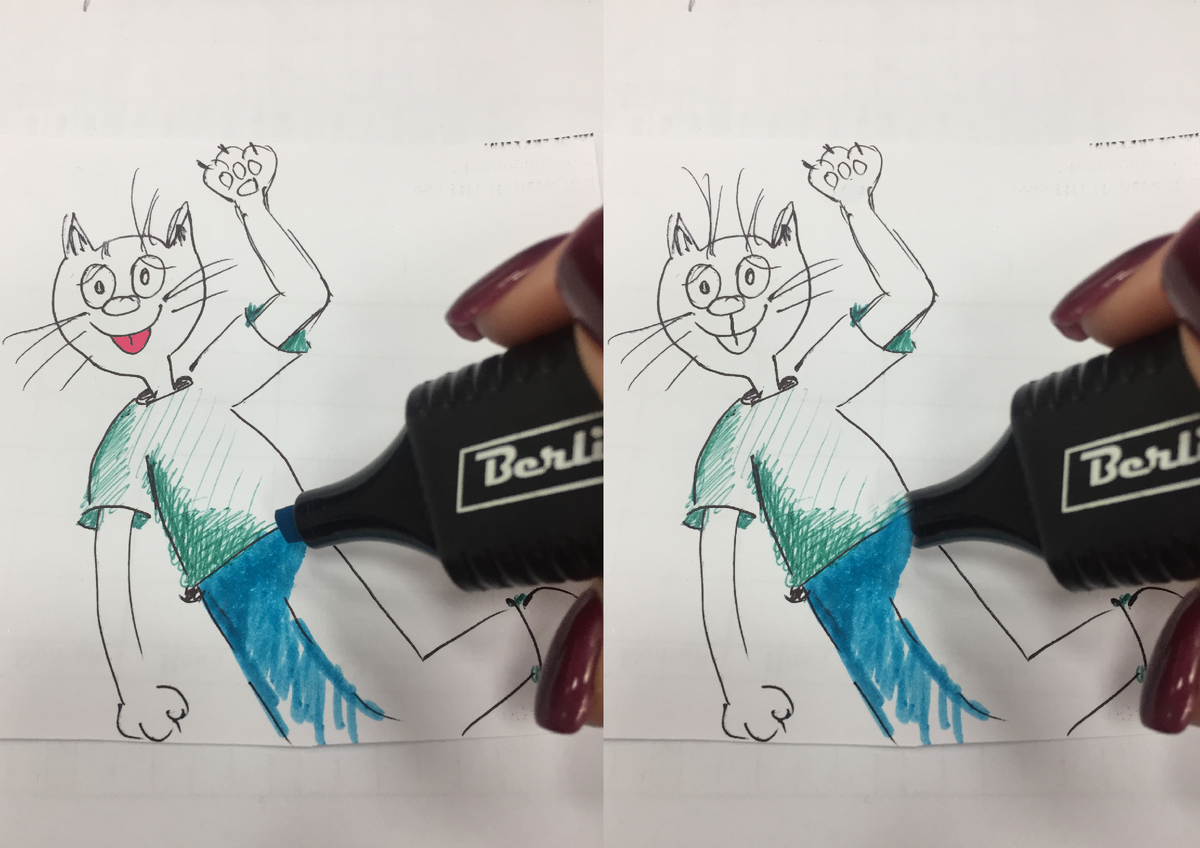 Всего 5 отличий. Проще простого)