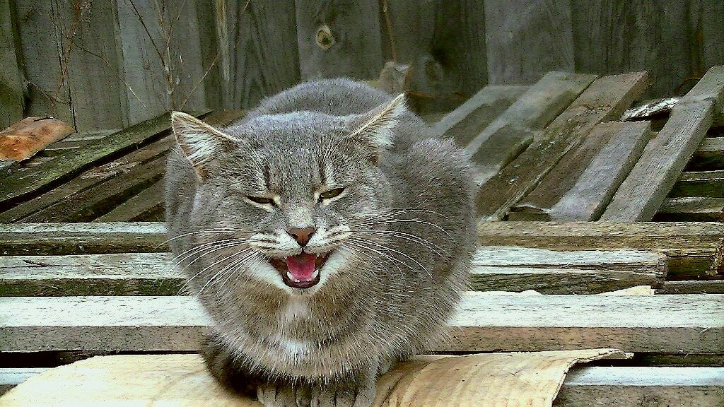 Улыбочка от Дымки!