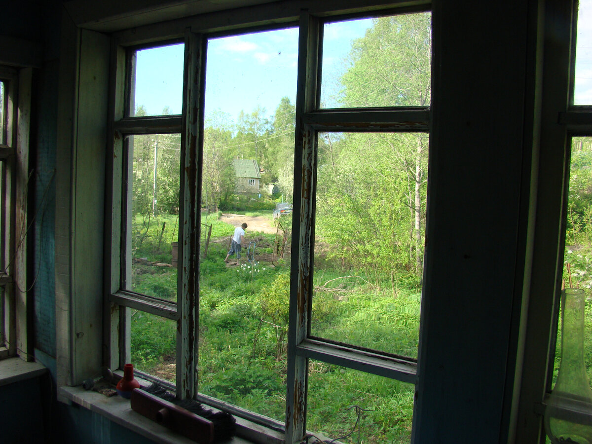 2011. Вид из "окна  веранды". 
