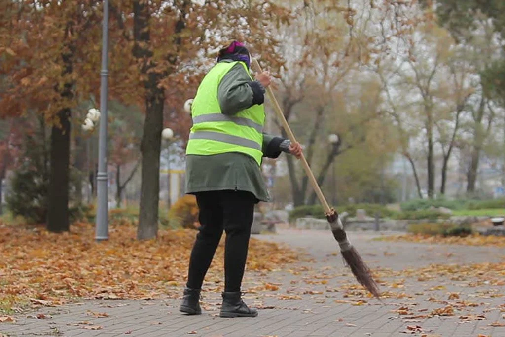 Фото из свободного доступа.
