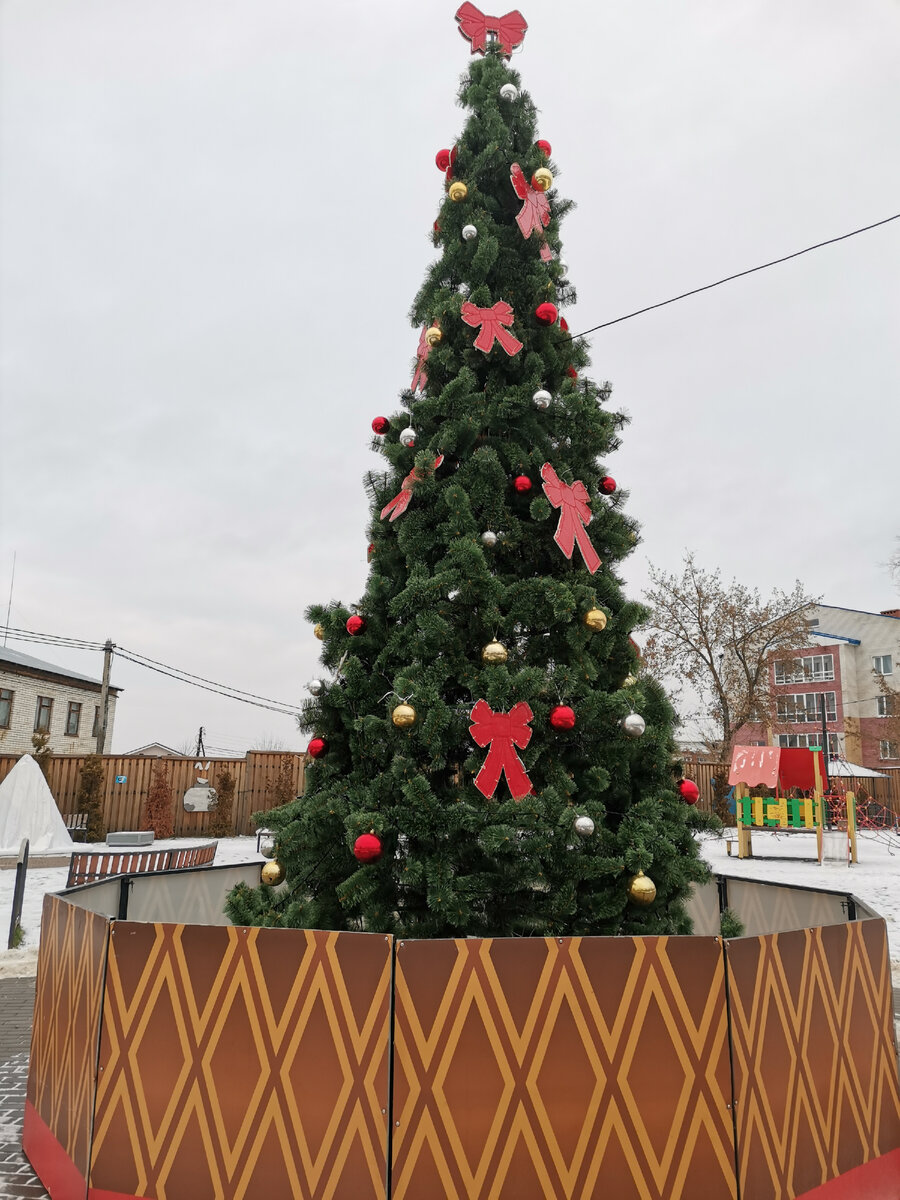 Ёлочка-ёлка лесной аромат 🌲