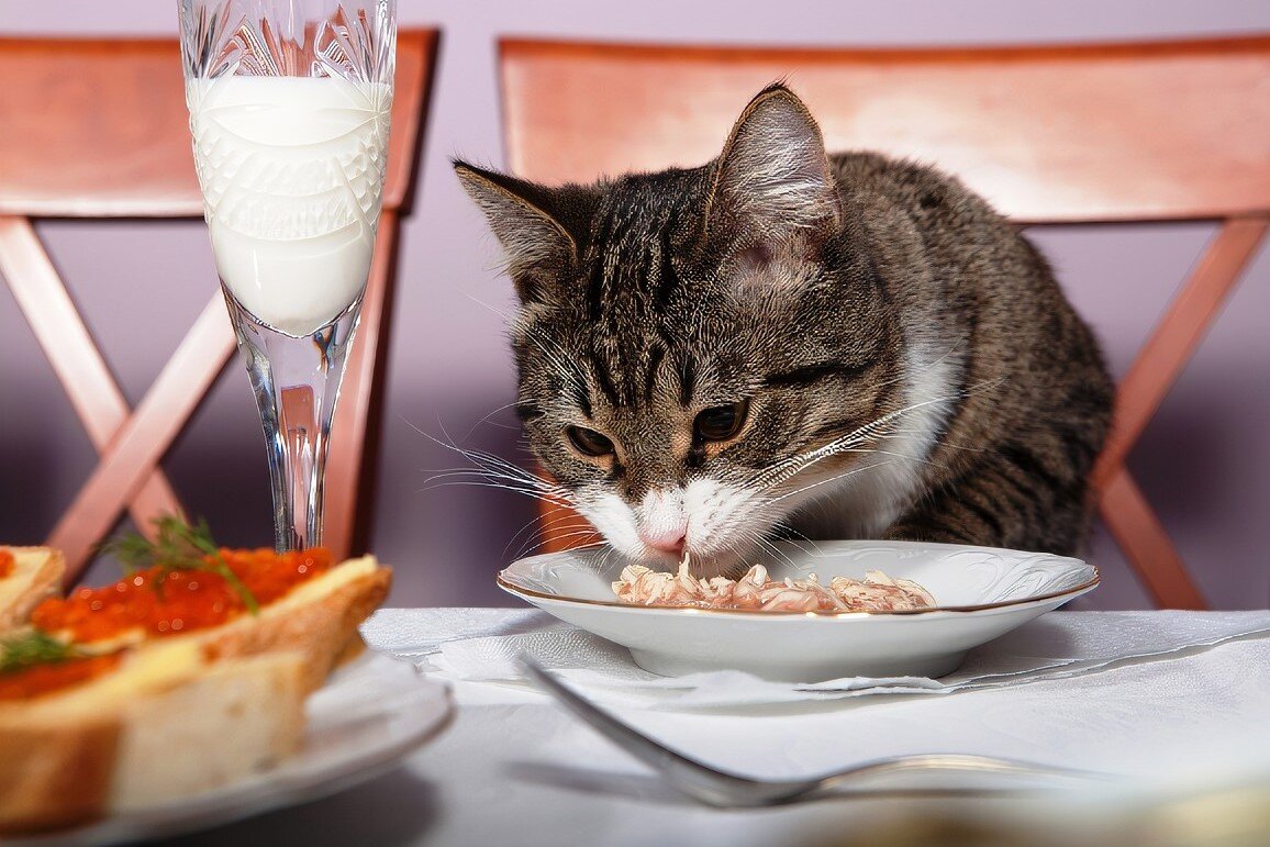 Фото из Интернета