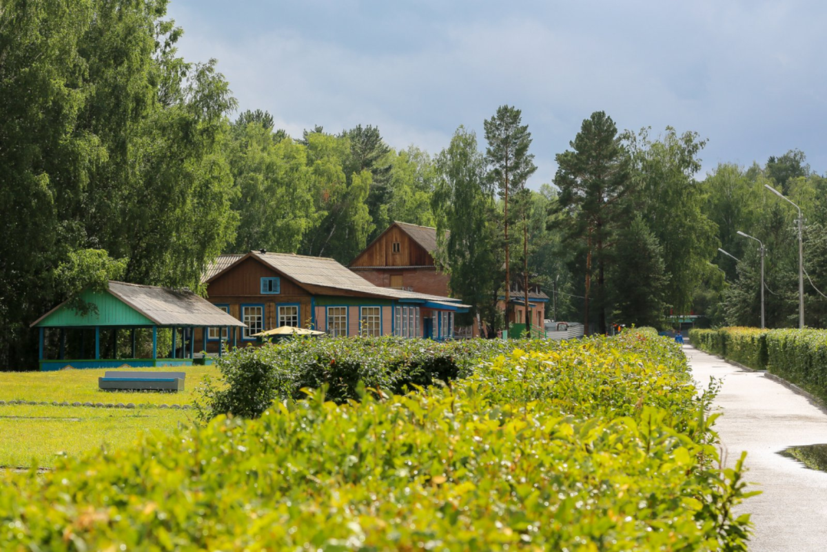 Село под лесной защитой. Фото из интернета.