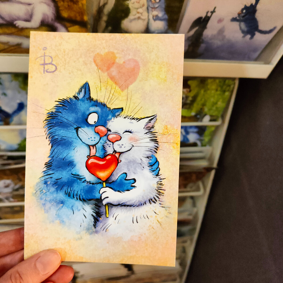 Необычные открытки с котиками. Фото сделано автором.