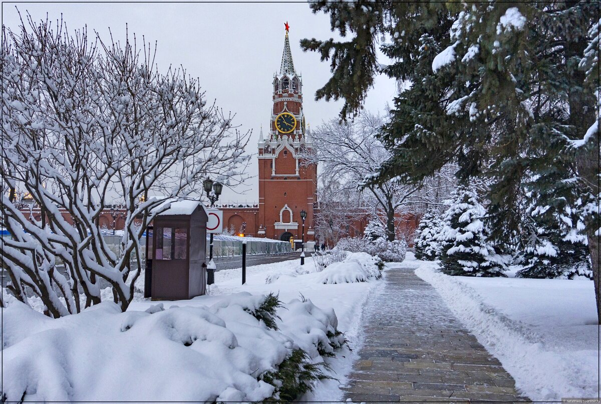  Фото: © Natalia Tarasova 