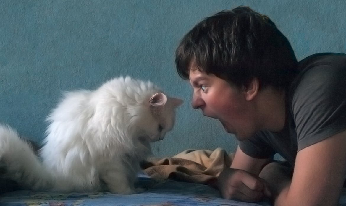 Фото взято с яндекс-картинок 