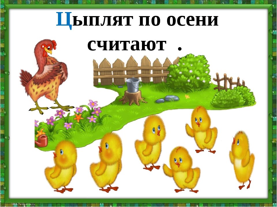 Слово цыплячий. Цыпленок учится считать.