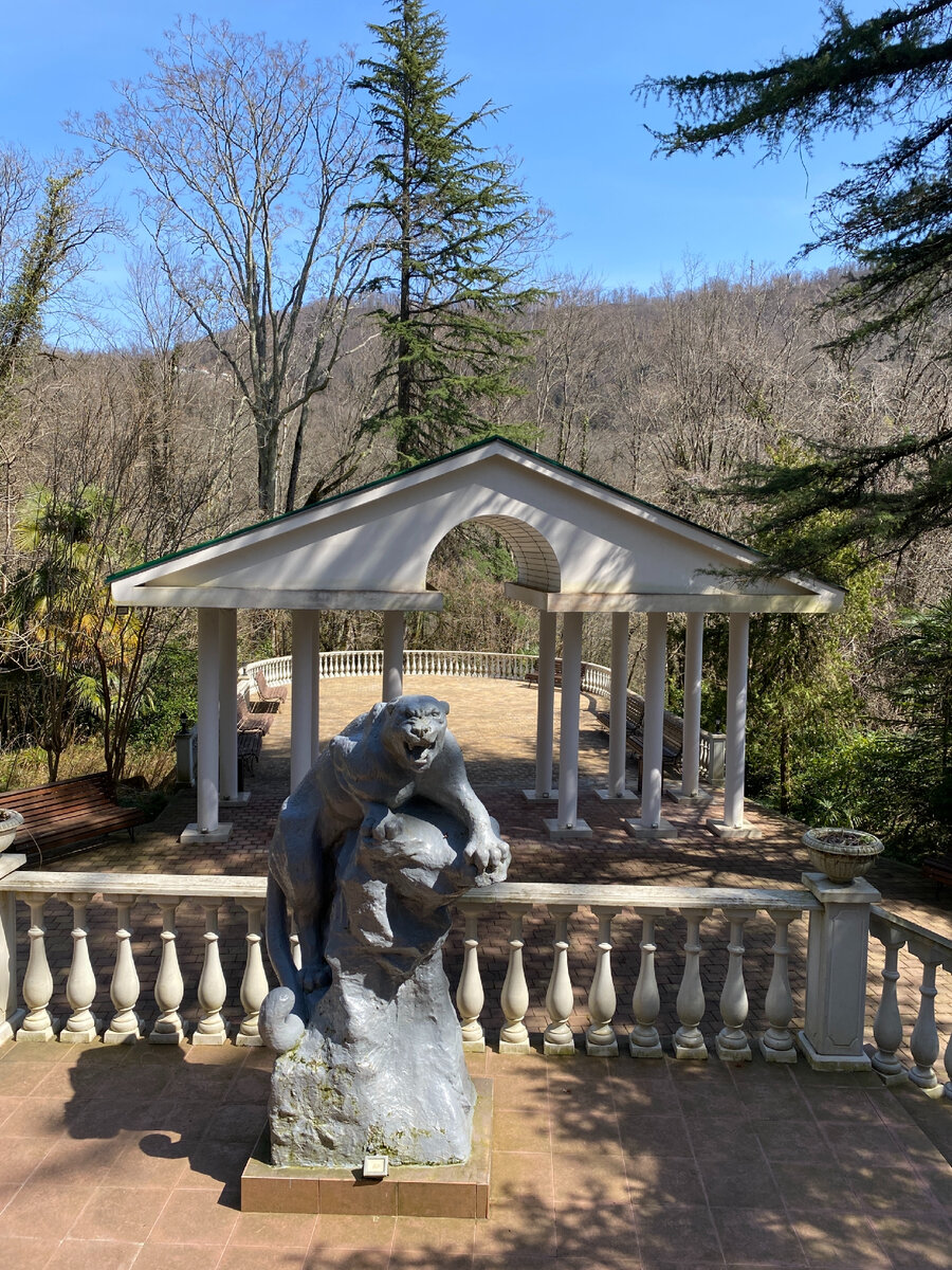 Фото автора. Вход в рощу напоминает парк 