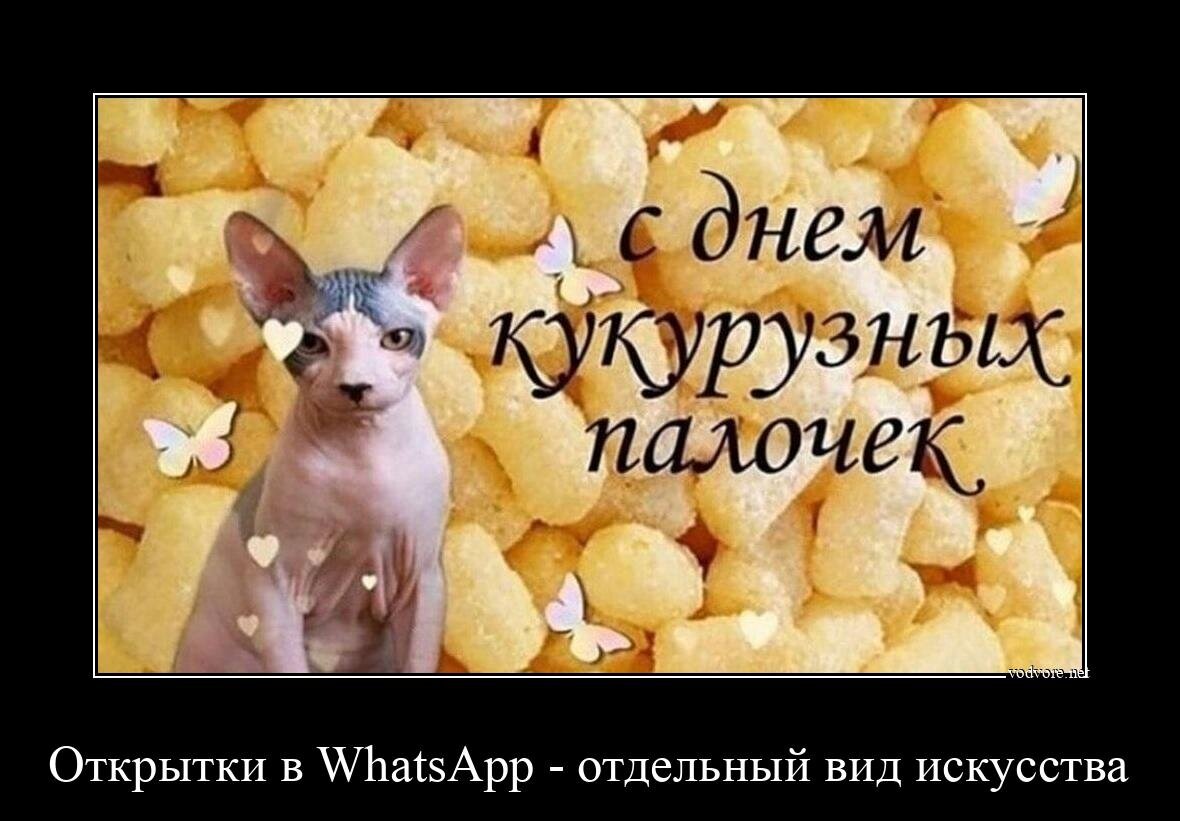 Задолбали люди, звонящие по WhatsApp с плохим качеством связи. | Макс Мишин  | Дзен