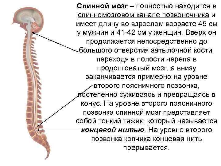 из общедоступных источников