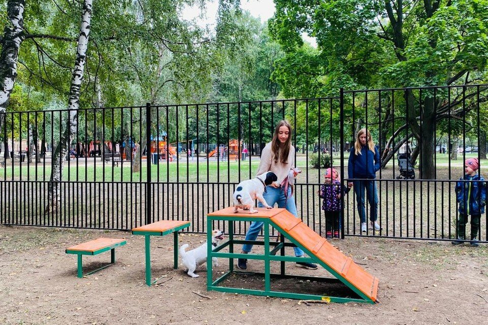     Площадки должны быть оборудованы полосой препятствий, предназначенной для тренировки собак. Фото: пресс-служба администрации Рязани.