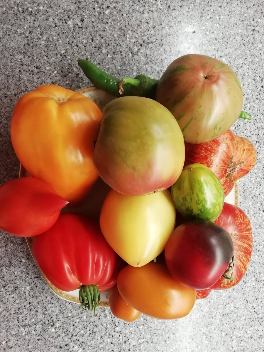 Каталог коллекционных сортов томатов. Семена этих сортов Вы можете  приобрести | ЕРАЛАШ | Дзен
