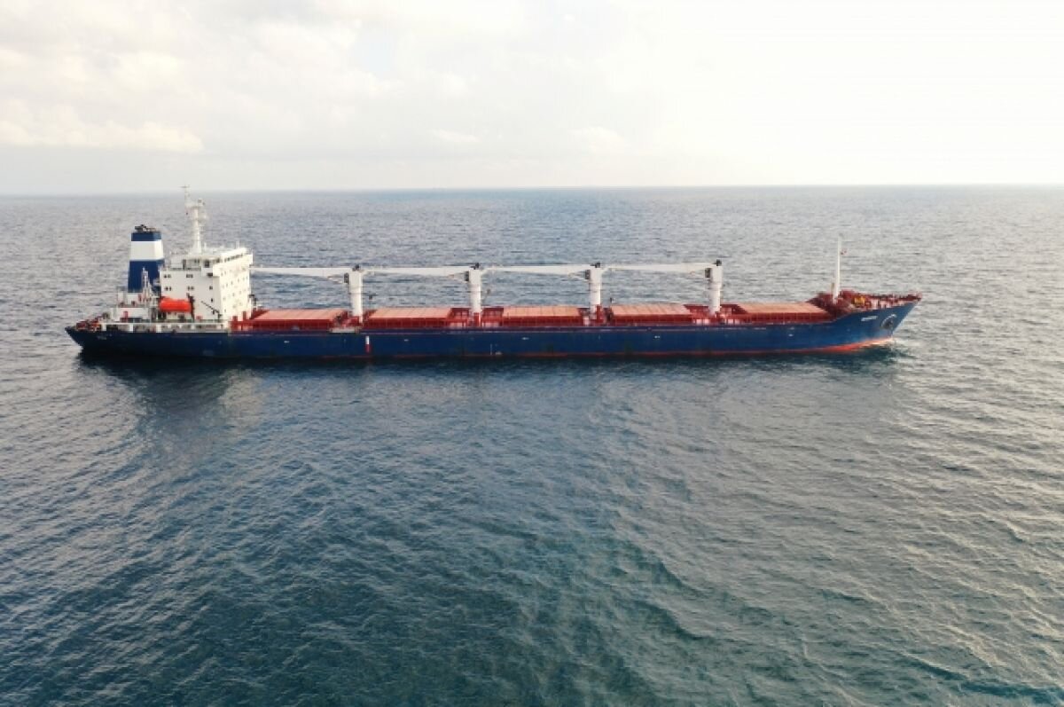    В Стамбуле судно с украинским зерном досмотрит делегация из 20 человек