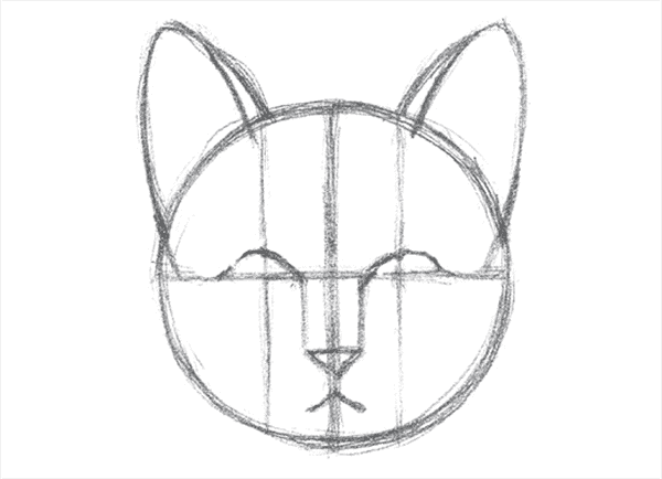 Как рисовать голову кошки (кота) с переди | Виталий Исмагилов | Дзен