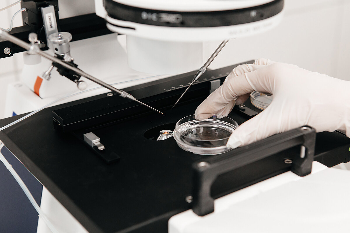 В клинике репродуктивного здоровья ВИТРОМЕД можно заморозить яйцеклетки