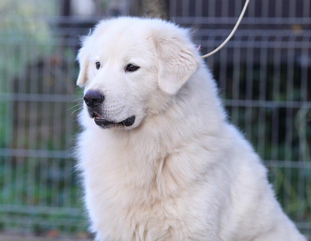 фото: из интернет-ресурса