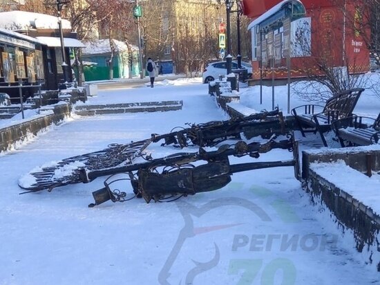     Фото: «Регион-70 Томск»