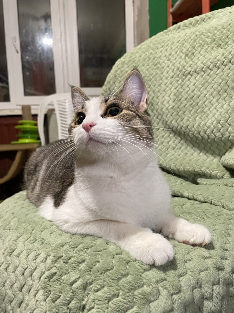 Кларочка