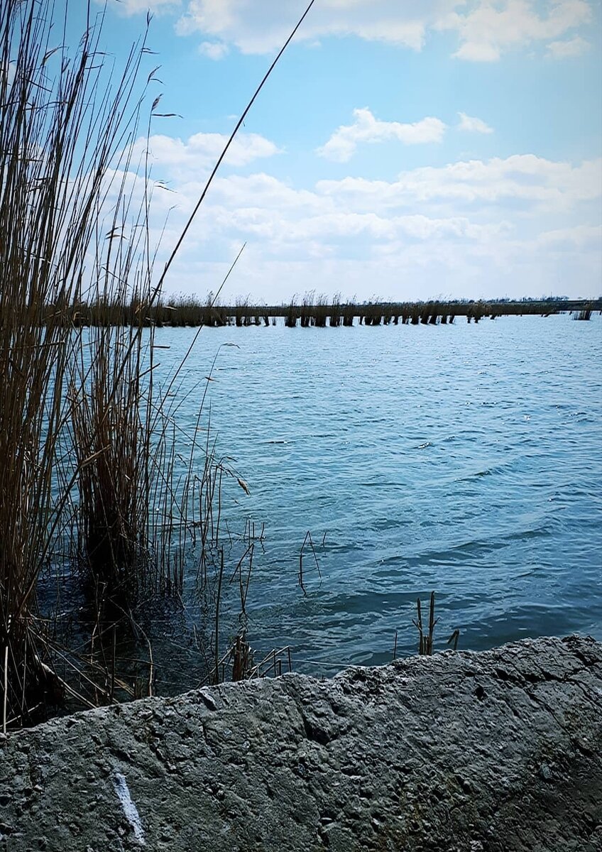 Фото из личного архива . Наши места