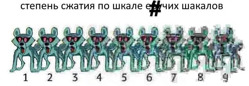 Шакалим джипеги