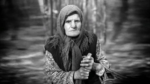 фото из открытых источников