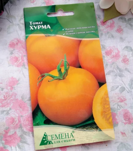 Семена Хурмы