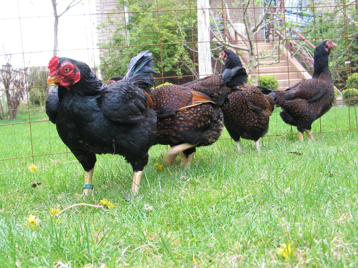 Фото из Интернета