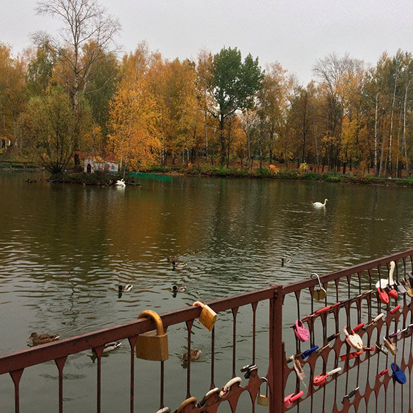 Сормовский парк нижний новгород. Парк Сормово Нижний Новгород. Сормовский парк Нижний. Сормовский парк Нижний Новгород осень. Сормовский парк Нижний Новгород озеро.