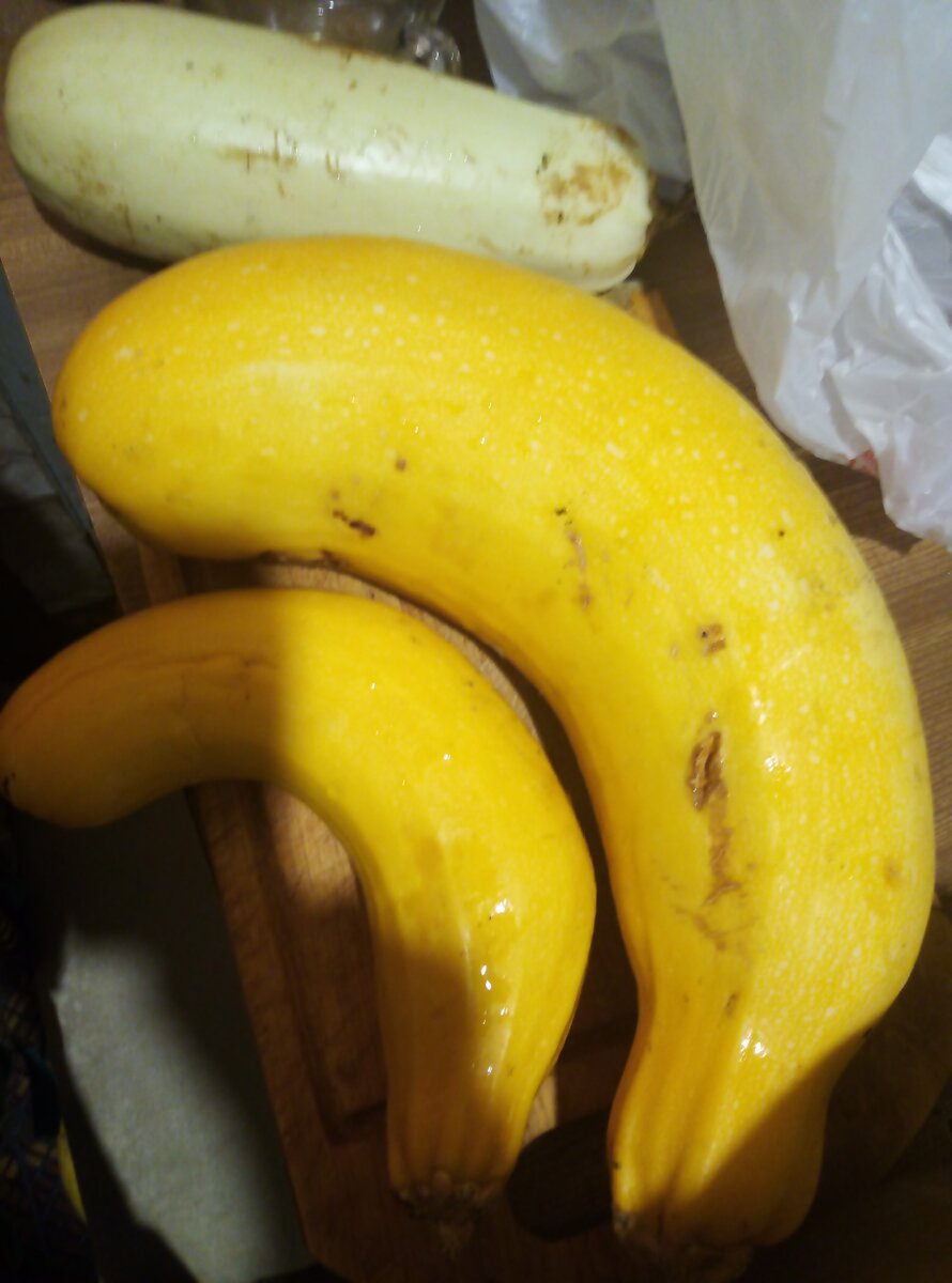 Вот такие ребята остались от последнего сбора