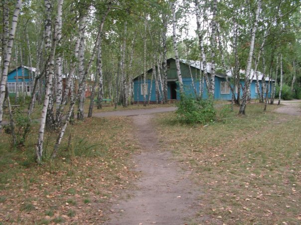 Фото взято из картинок яндекс.