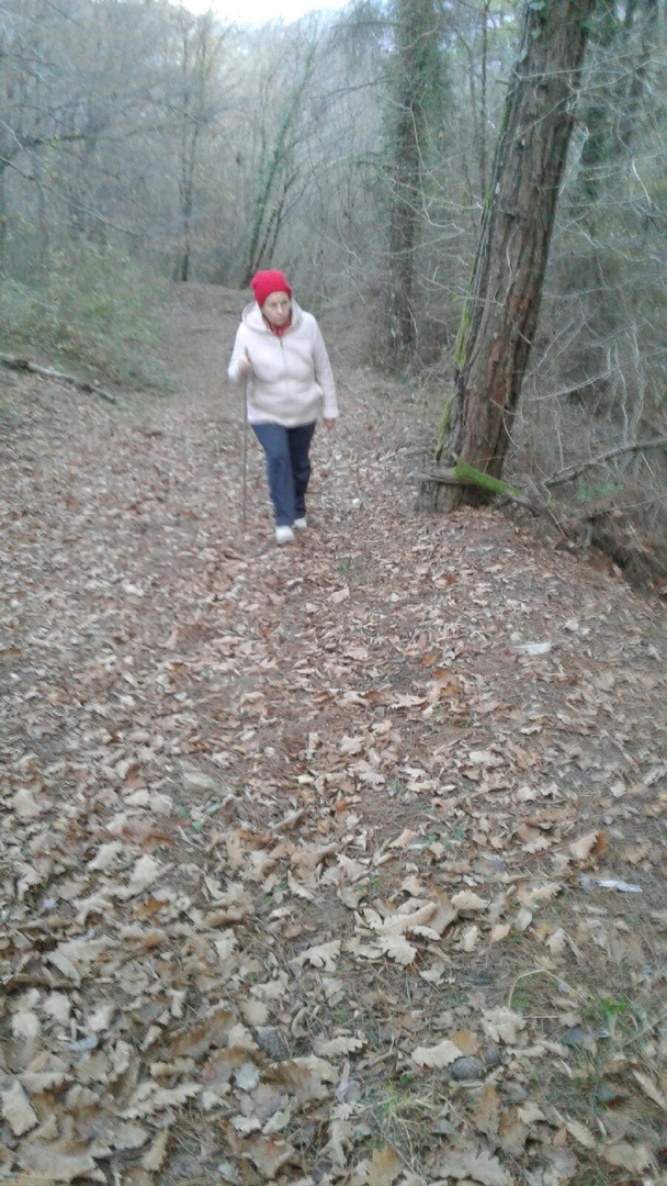 Ещё одна дорожка здоровья.