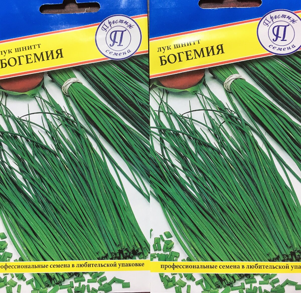 Лук шнитт, фото автора