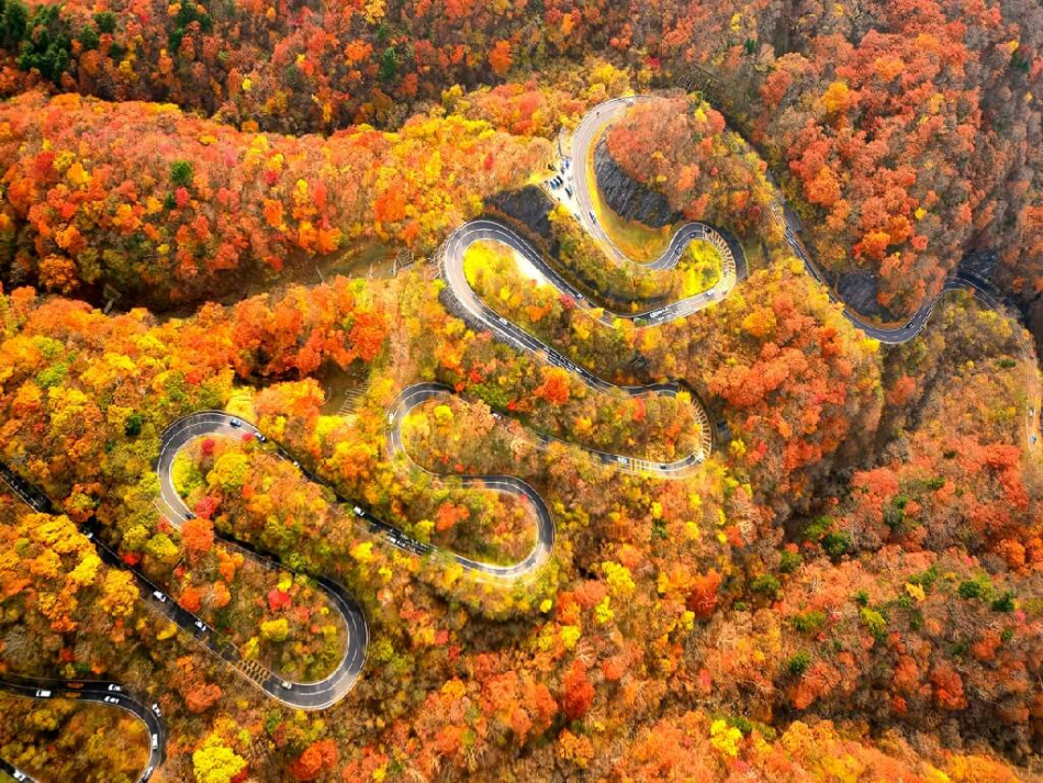 Серпантин Ирохадзака. Красиво. Опасно. (фото сайта FunJapan)