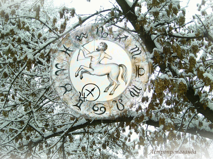 Коллаж Нины Стрелковой.