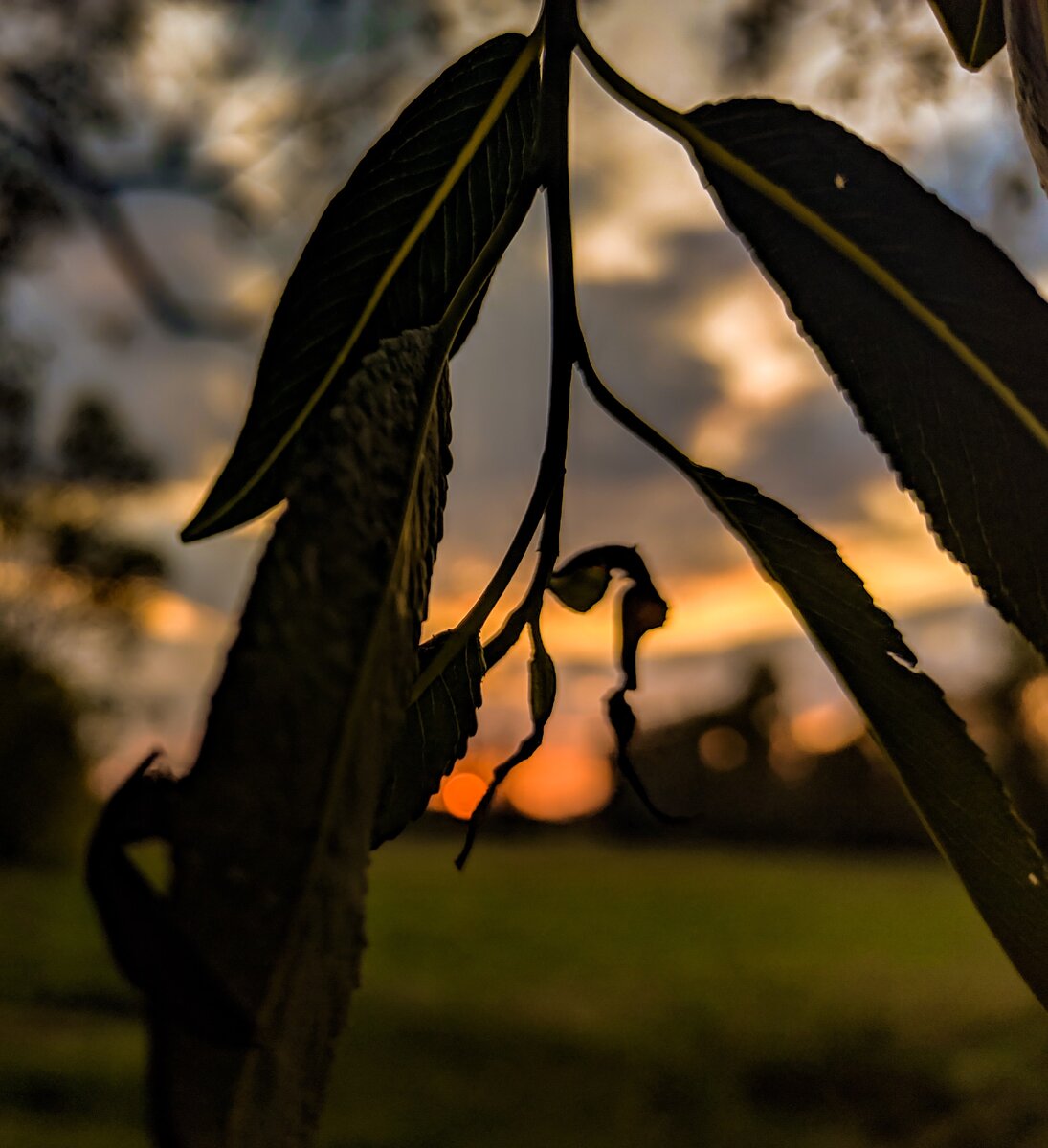 Фото сделаное на камеру телефона.