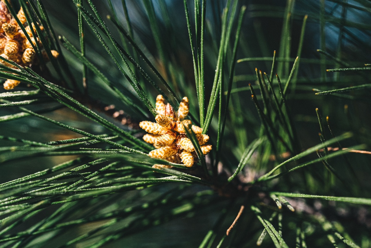 Photo by Guillaume de Germain on Unsplash