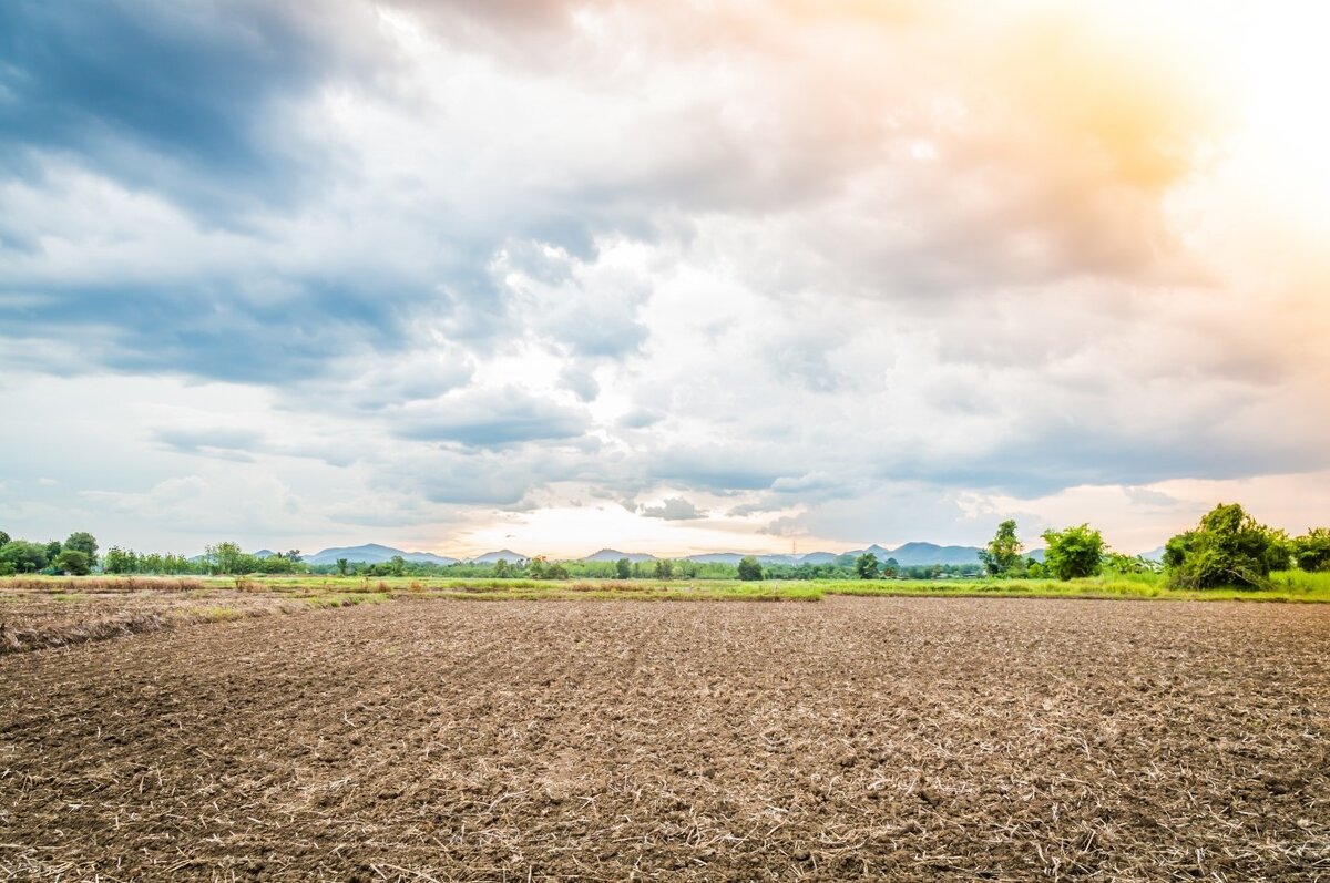 Изменить категорию земельного участка