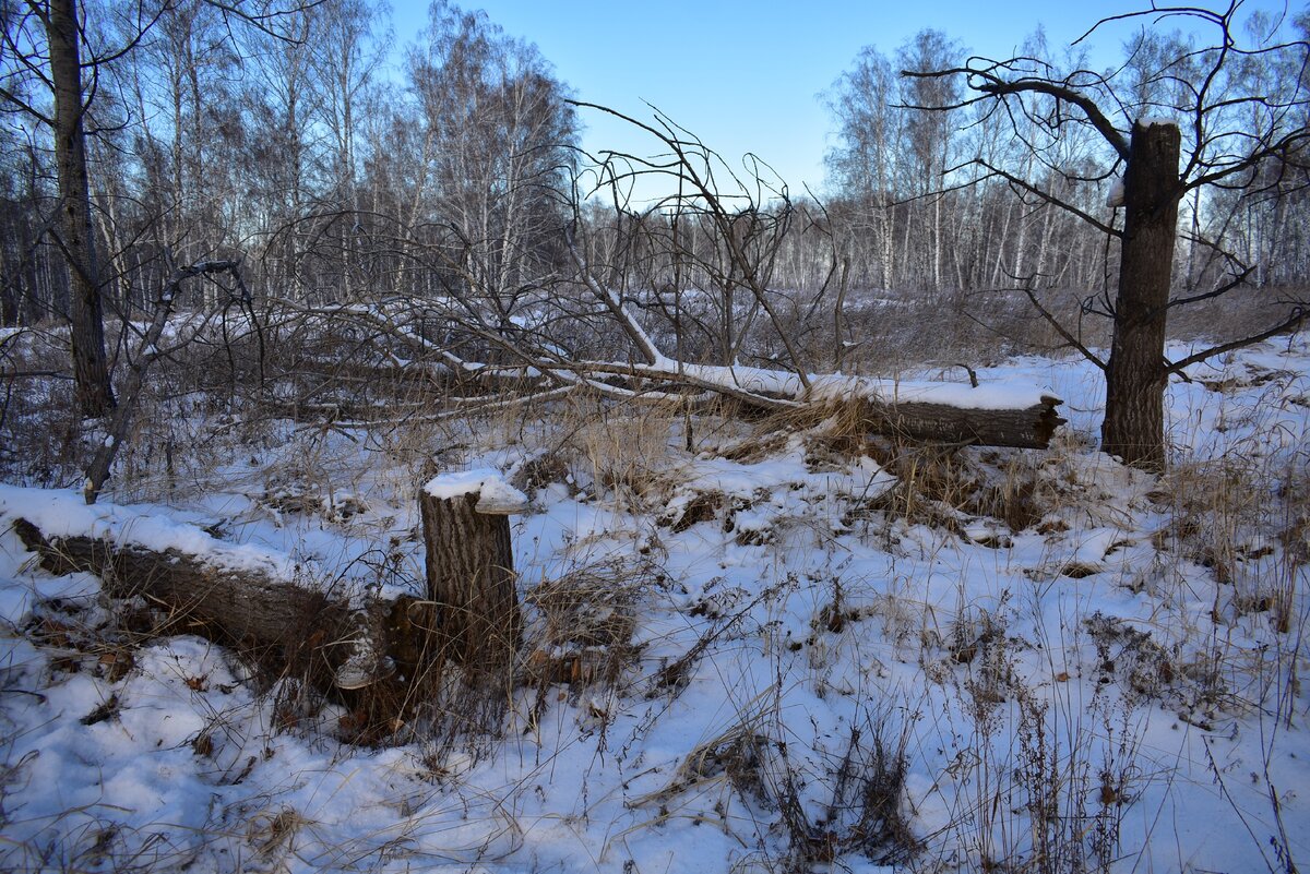 Кладбище Гагино